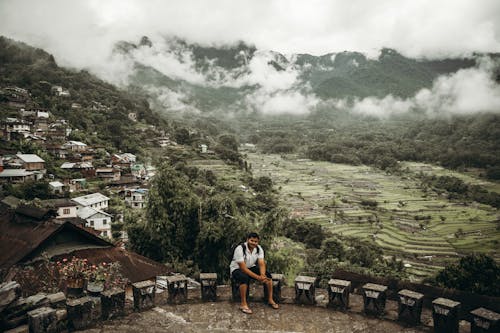 Houses near Rice Fields