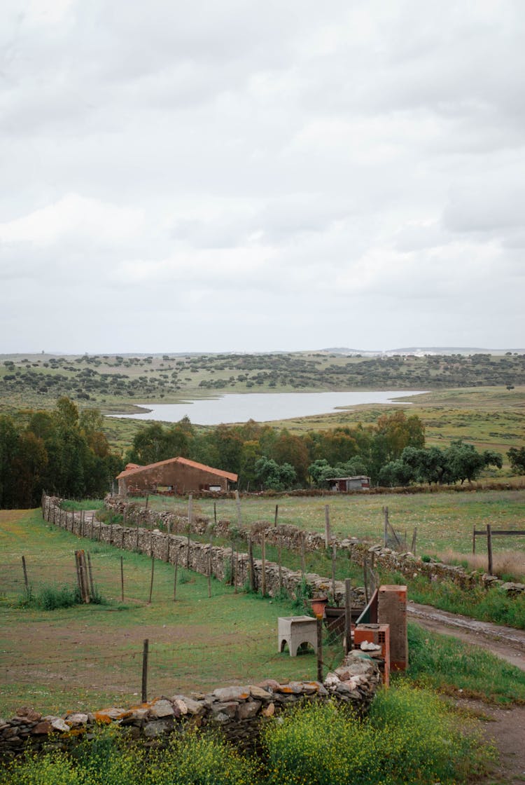 Farm In Summer