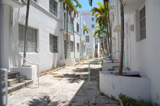 Empty alley with art deco architecture in Miami, Florida, featuring palm trees and sunlight.