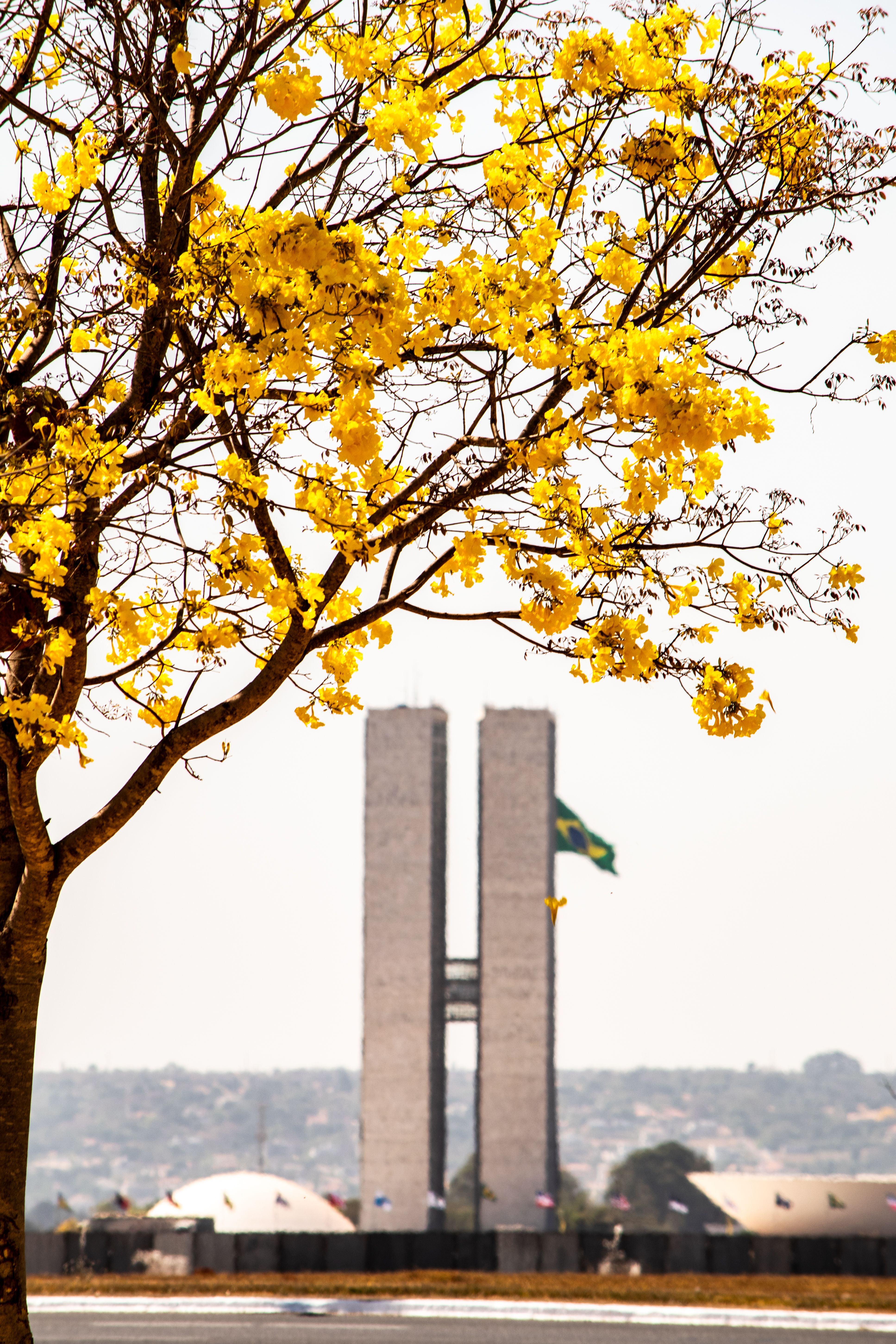 Without green and yellow, Instagram becomes Tarcísio's favorite and divides campaign on the eve of TV and radio debut