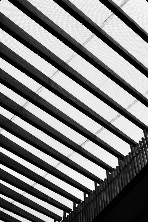 Free Dynamic perspective of a grayscale architectural trellis with strong linear elements. Stock Photo
