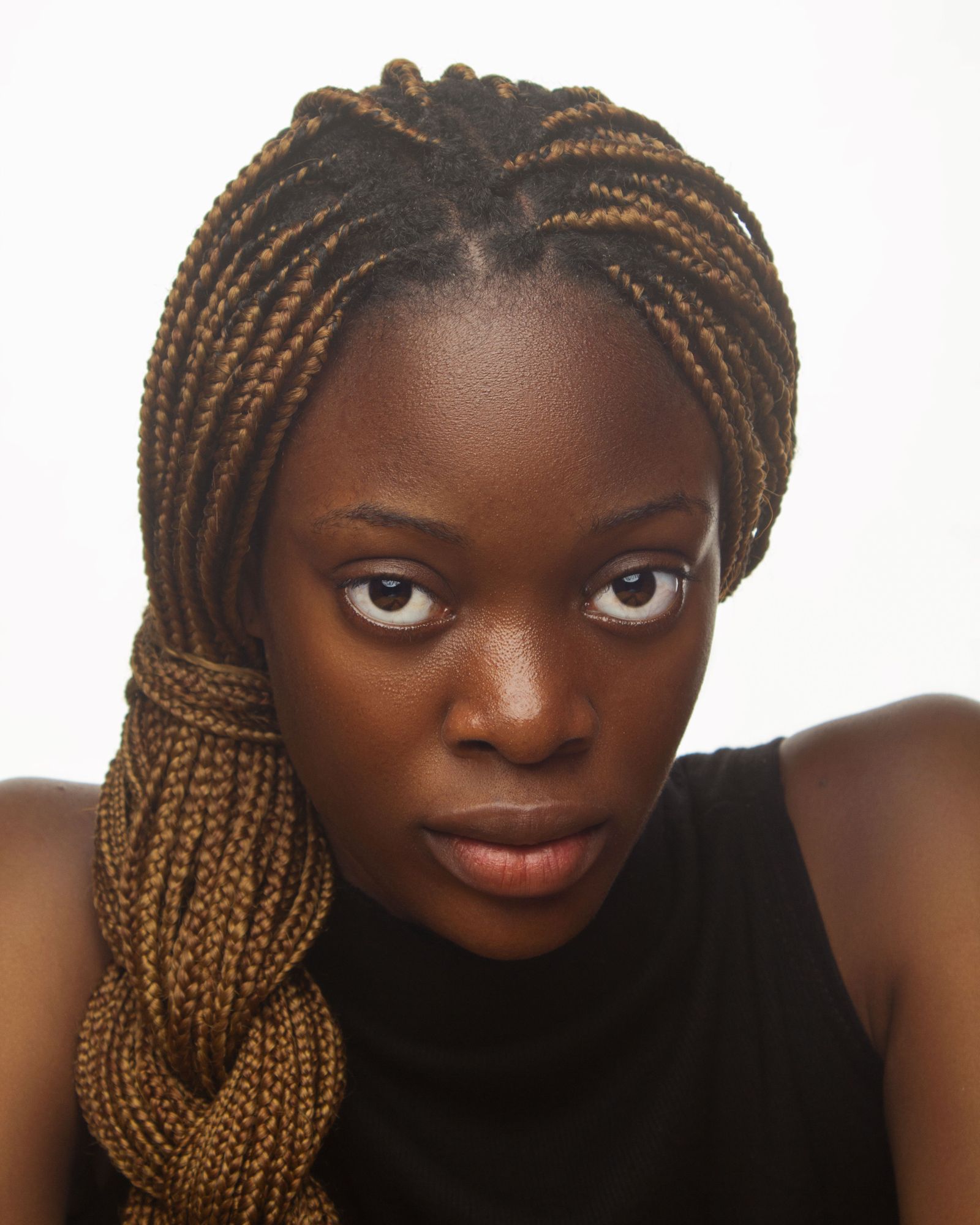 Long highlighted braids portrait