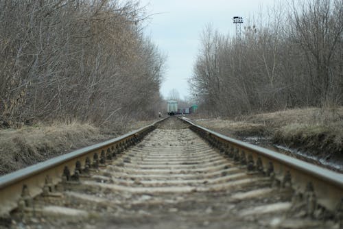 交通手段, 列車, 列車のトラックの無料の写真素材