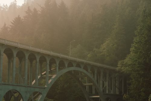 Free A fog-shrouded bridge surrounded by lush forest at Heceta Beach, Oregon. Stock Photo
