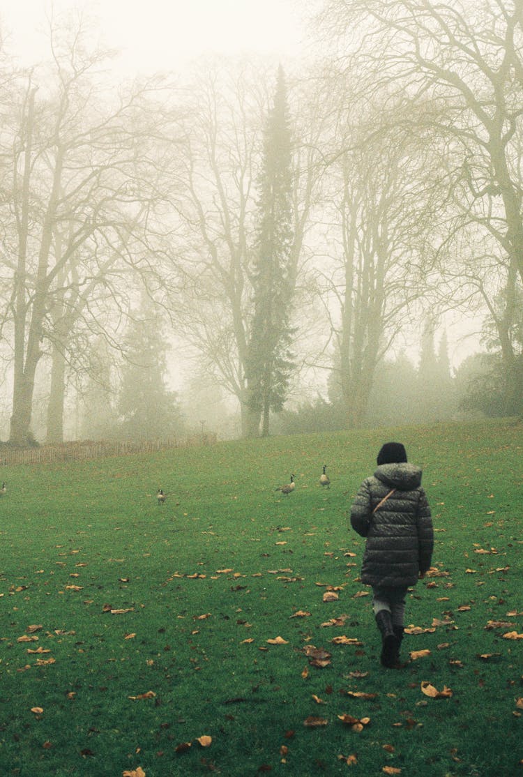 A Person In Black Jacket Walking On Green Grass Field