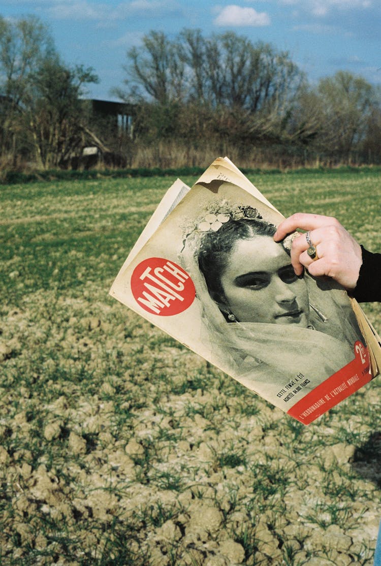 Hand Holding Magazine Over Meadow