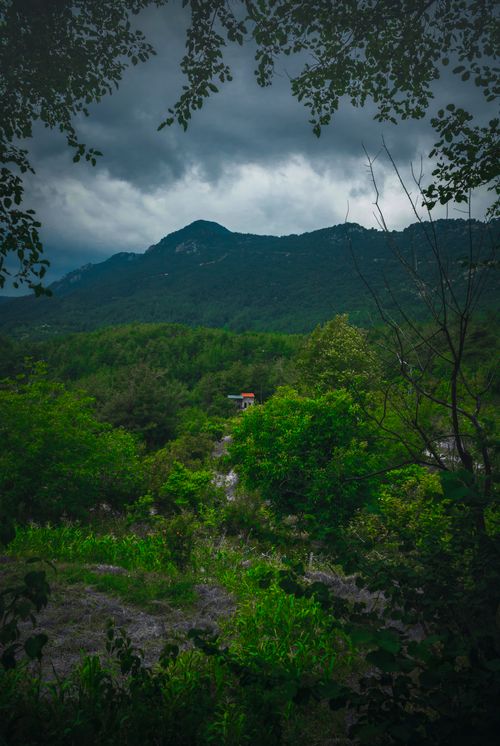 Free Explore a tranquil mountain scene framed by vibrant greenery and a dramatic cloudy sky. Stock Photo