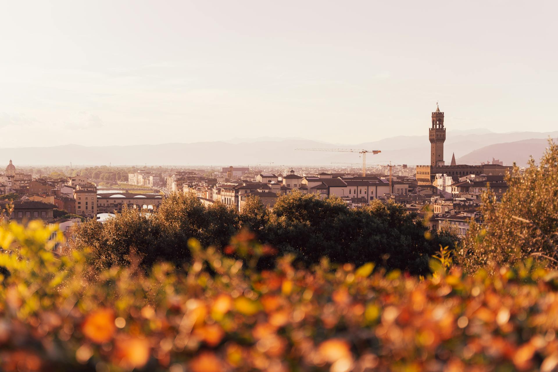 A beautiful view of Florence highlighting the historic Palazzo Vecchio tower under a clear sky.