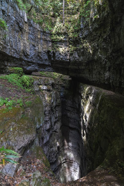 Immagine gratuita di canyon, eroso, foresta