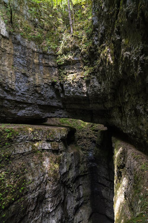 Immagine gratuita di canyon, eroso, foresta