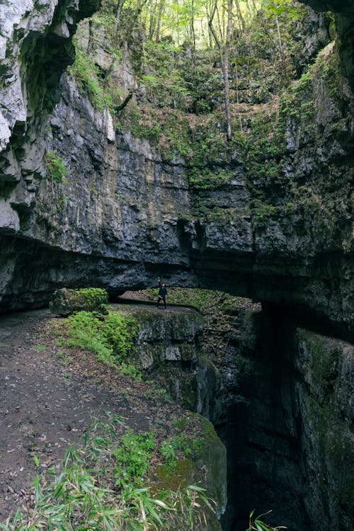 Immagine gratuita di canyon, eroso, foresta