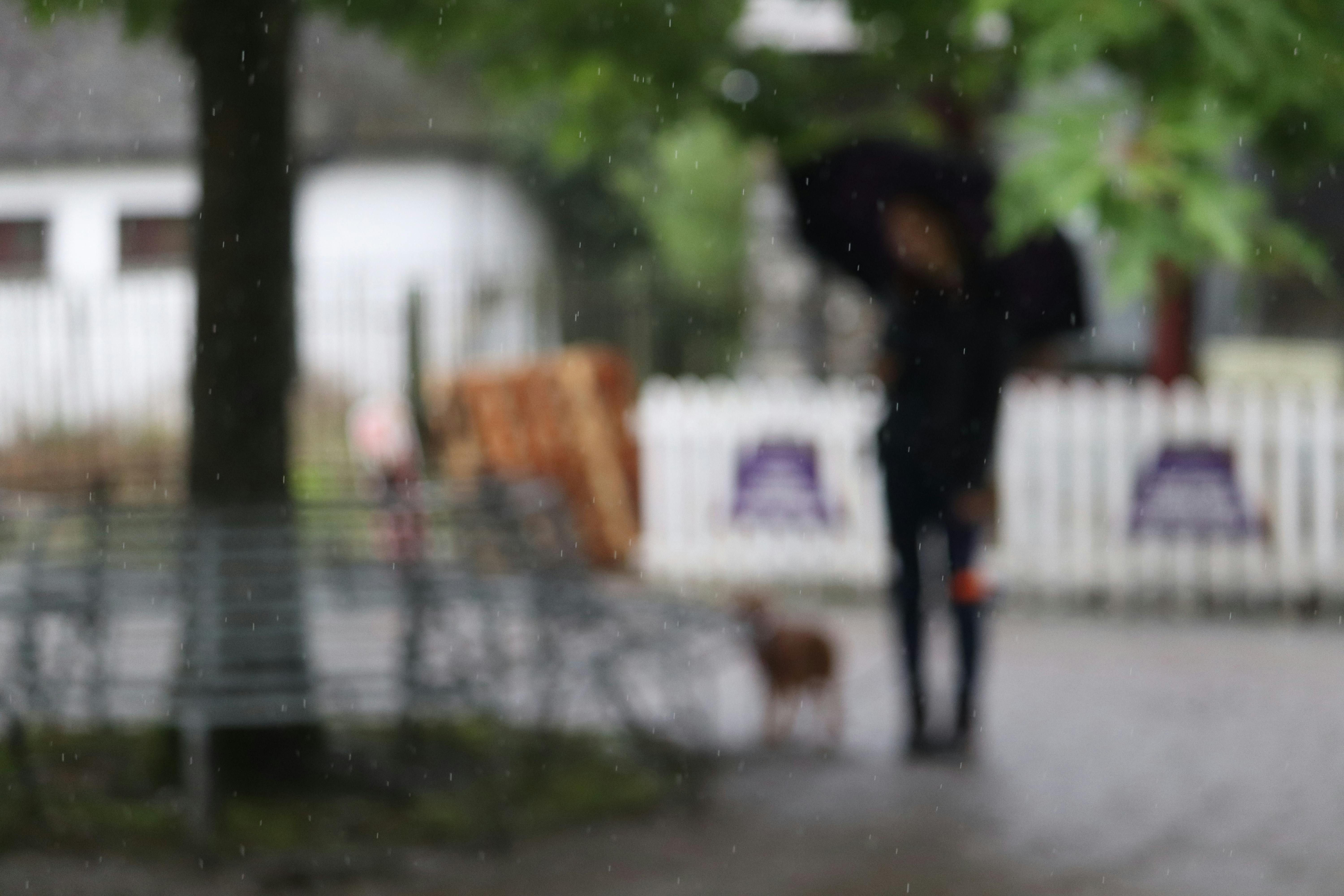 4k Wallpaper Of Raining Photos, Download