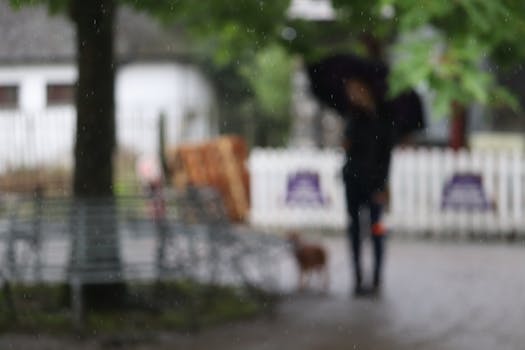 城市公园里，雨天中一个人撑着伞的模糊景象