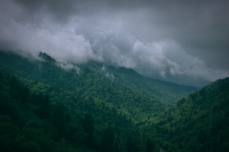 Great Smoky Mountains