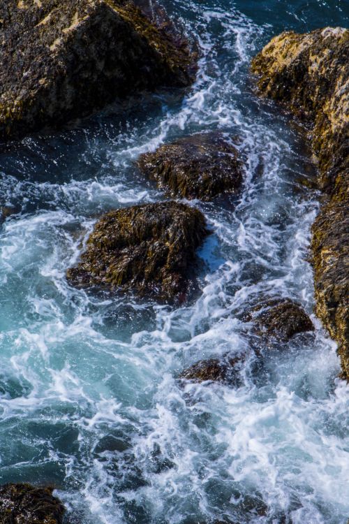 Free Capturing the powerful ocean waves crashing against rocky coastline in Acadia, Maine. Stock Photo