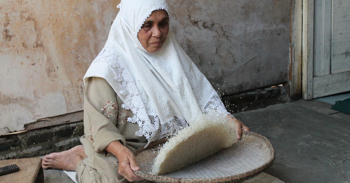 People Doing Rice Woman Preparing Rice in Traditional Way · Free Stock Photo