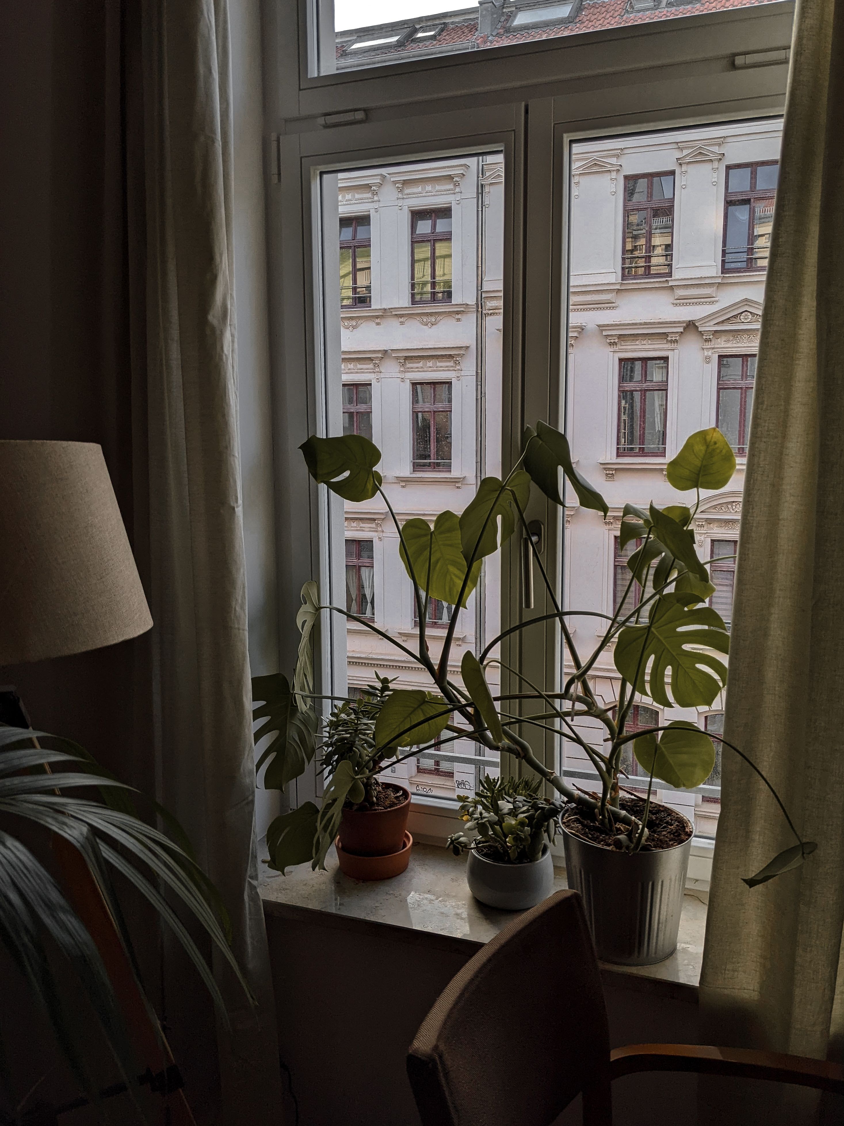 Indoor plants on a windowsill overlooking Leipzig's architecture, creating a cozy vibe.