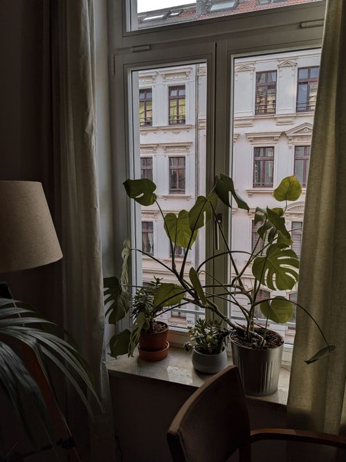 Free Indoor plants on a windowsill overlooking Leipzig's architecture, creating a cozy vibe. Stock Photo