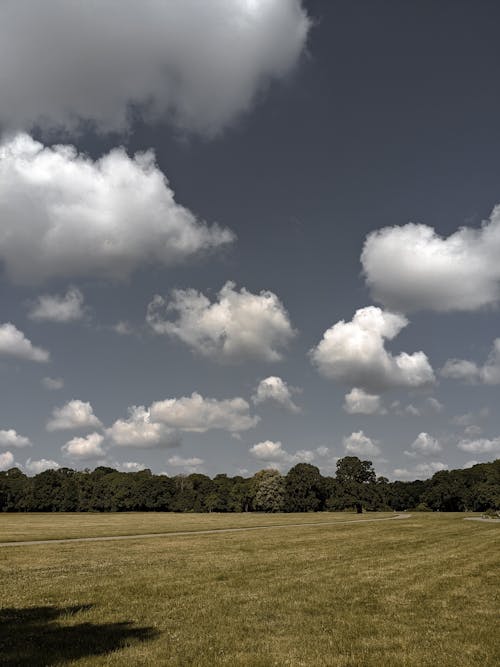 多雲的天空, 牧場, 草原 的 免費圖庫相片