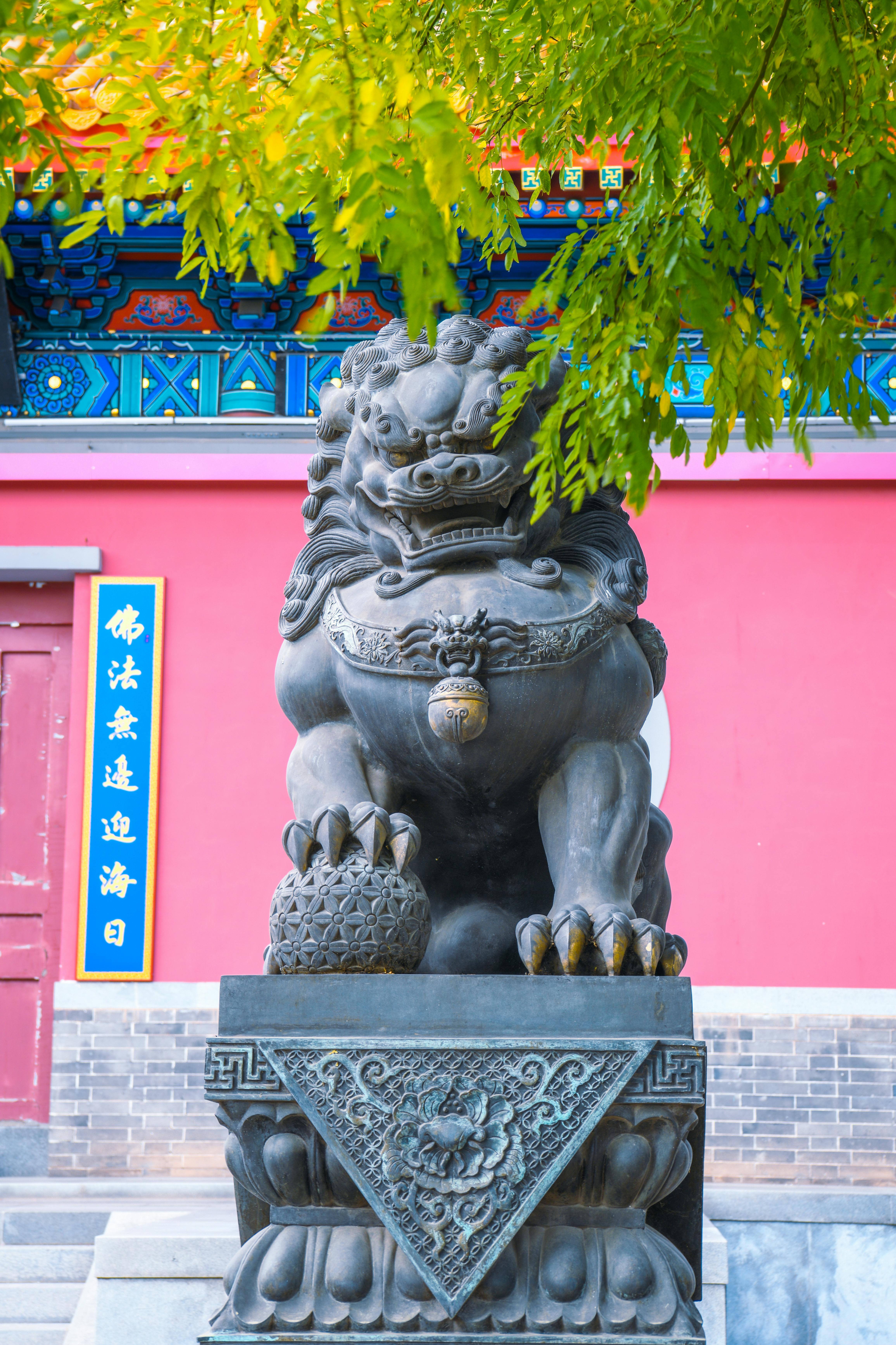 Lion Statue In Front Of Building Free Stock Photo   Pexels Photo 13644287 