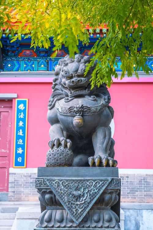 Free A traditional Chinese guardian lion statue in front of a colorful temple with lush greenery. Stock Photo