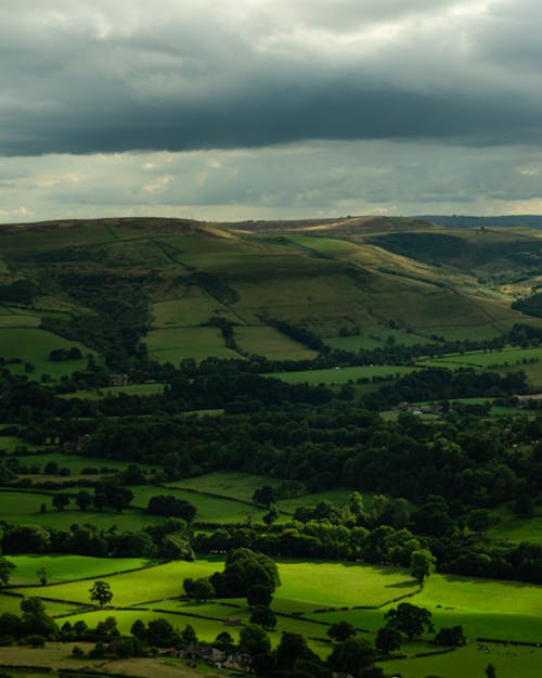 Drone Shot of Fields and Trees