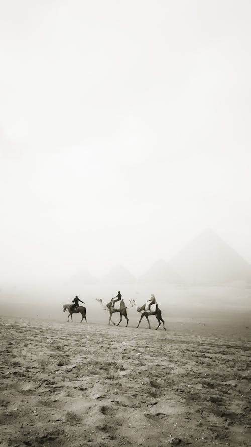 People Riding Camel on a Desert