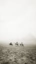People Riding Camel on a Desert