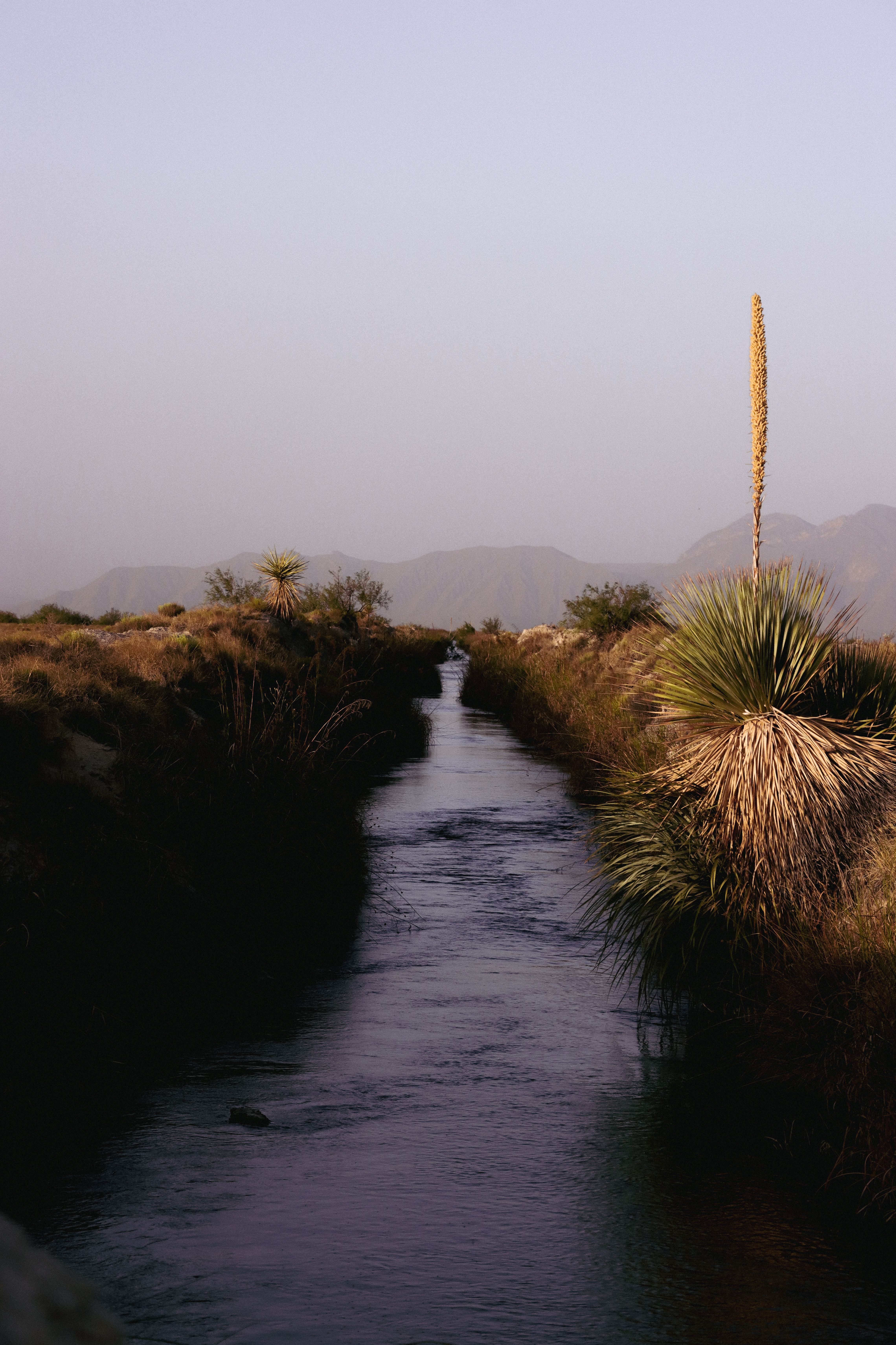 A tranquil river flowing through a desert landscape with a clear sky and surrounding vegetation.