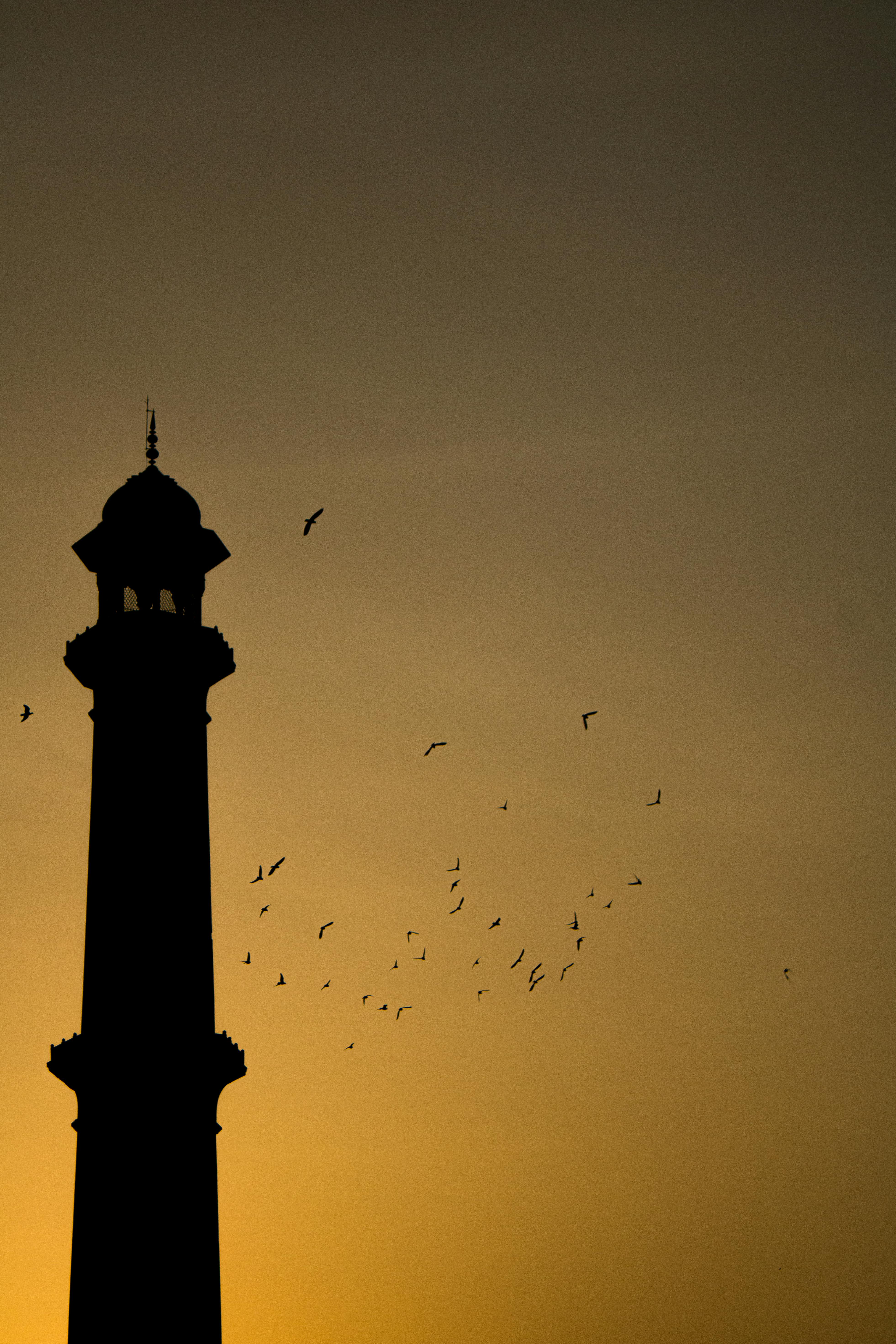 A dramatic silhouette of a minaret against a sunset sky, accented by flying birds, creating a serene atmosphere.
