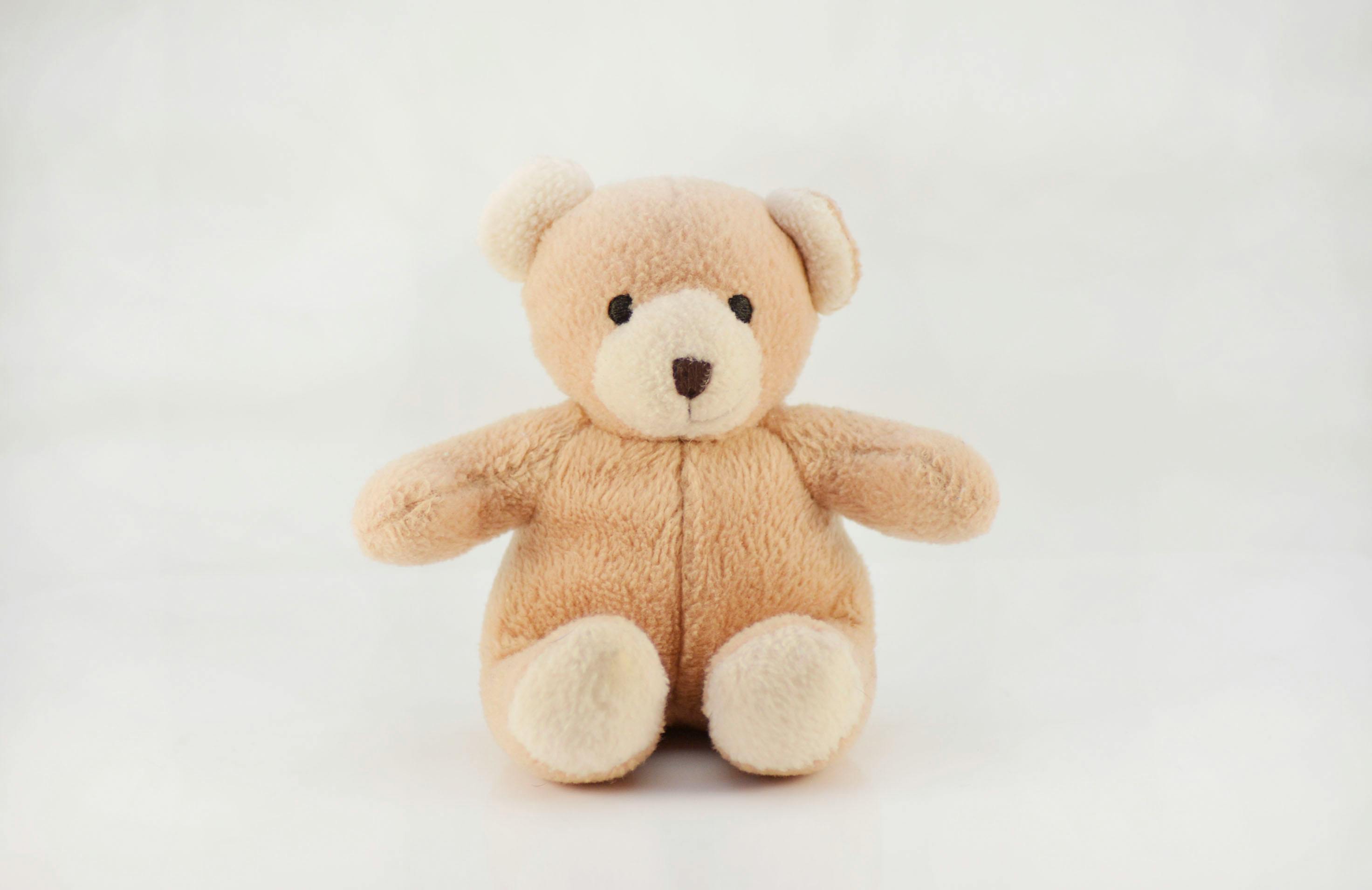 Free stock photo of bear, brown bear, brown teddy bear