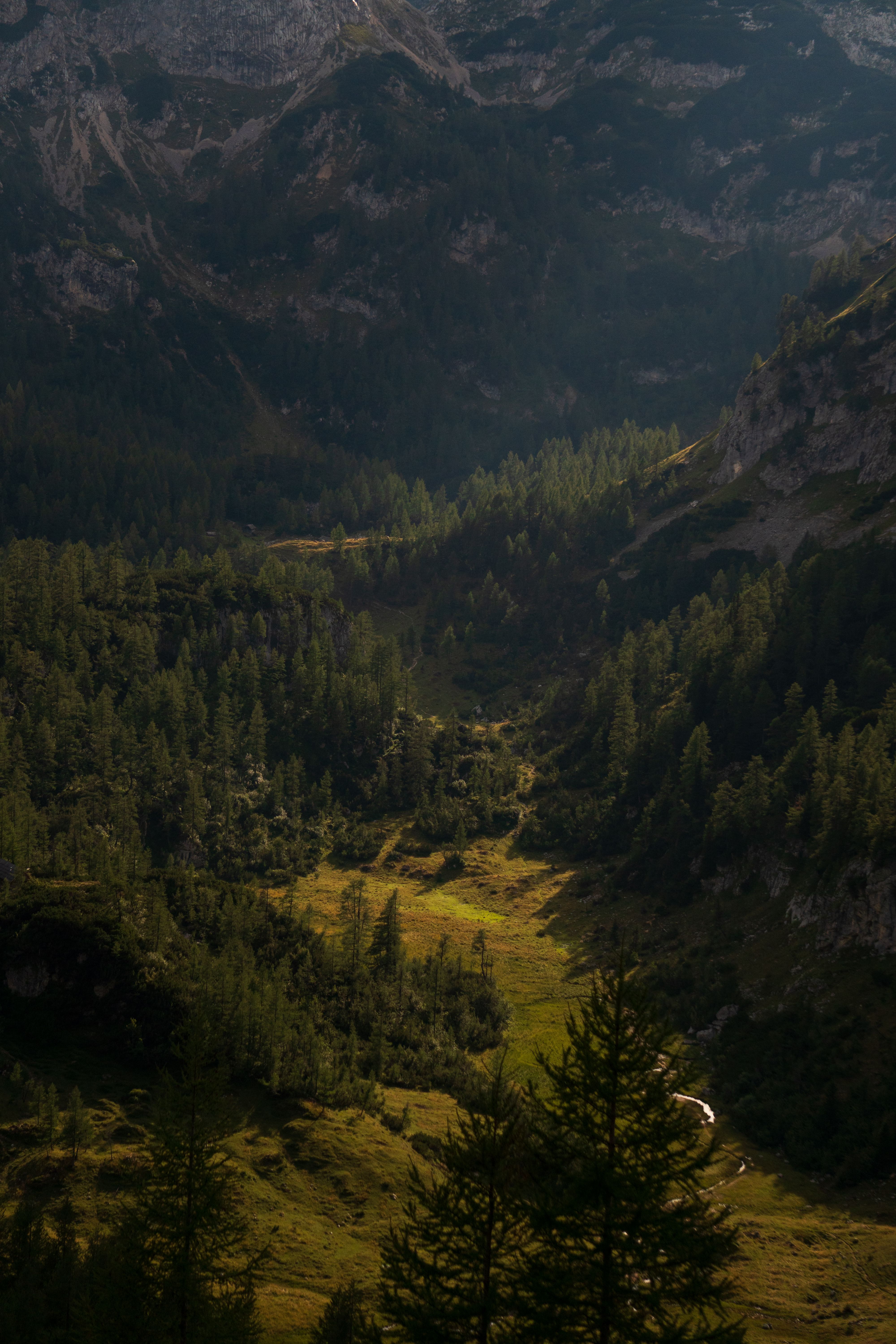 Aerial View of Green Trees on Mountain · Free Stock Photo