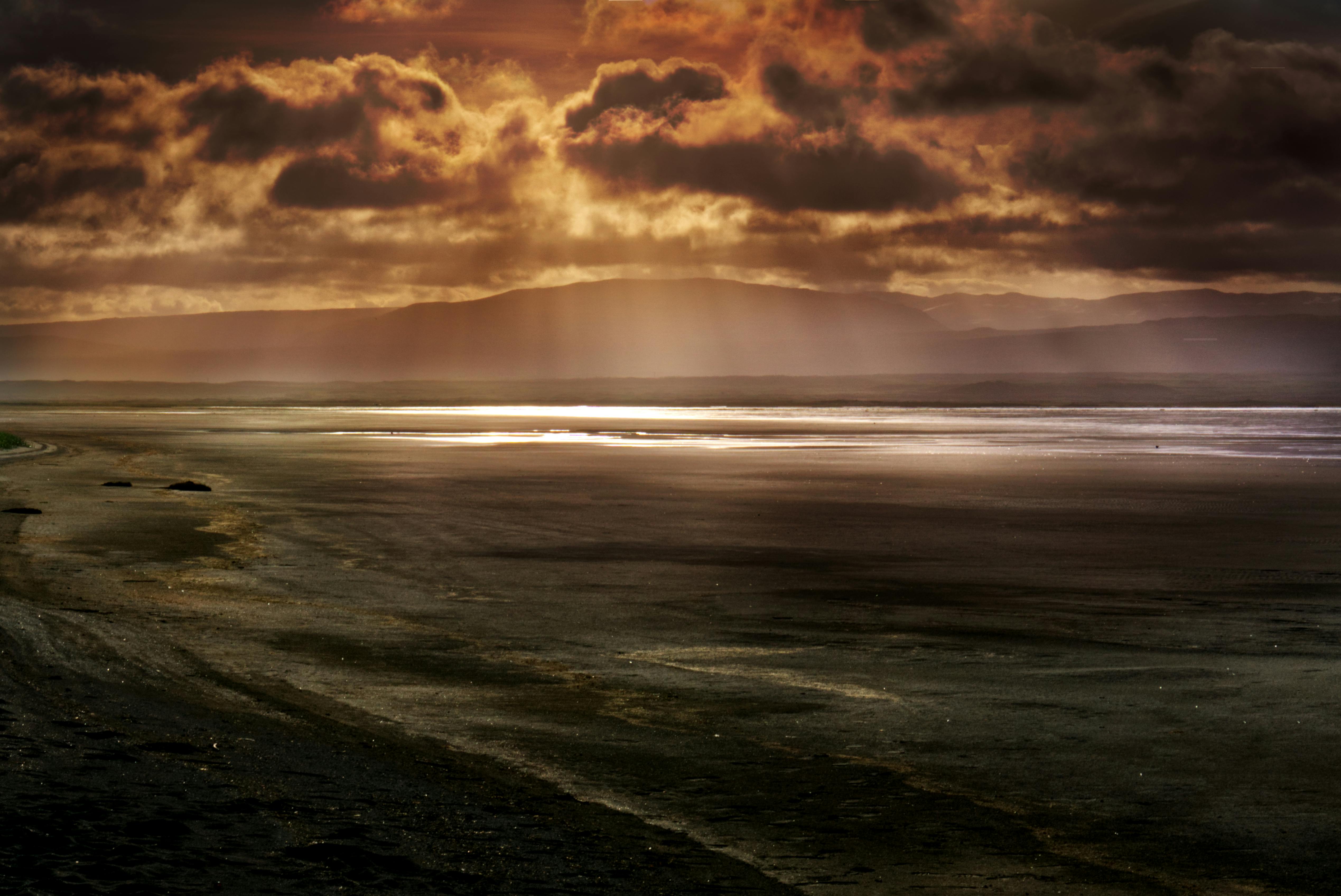 How Climate Change is Affecting Pacific Sleeper Sharks in the South China Sea: Insights and Implications