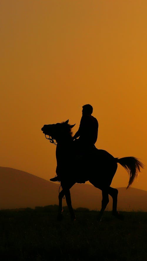 Silhouette of Man Riding a Horse during Sunset