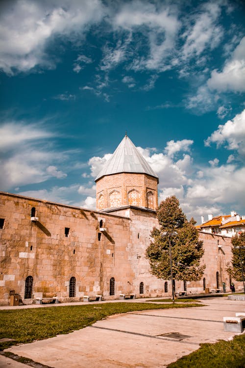 ağaç, bina, dikey atış içeren Ücretsiz stok fotoğraf