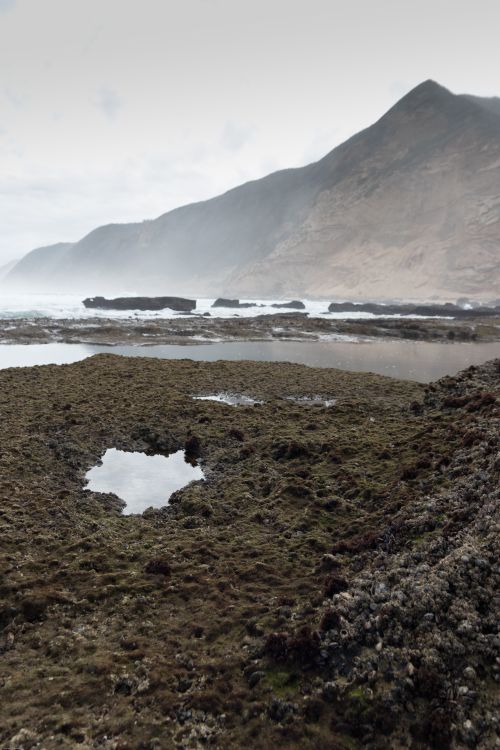 Free Foggy coastal view with rocky terrain and mountains in the distance. Stock Photo