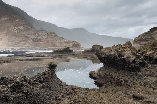 Free Scenic view of rocky coastline and tidal pools under a cloudy sky. Stock Photo