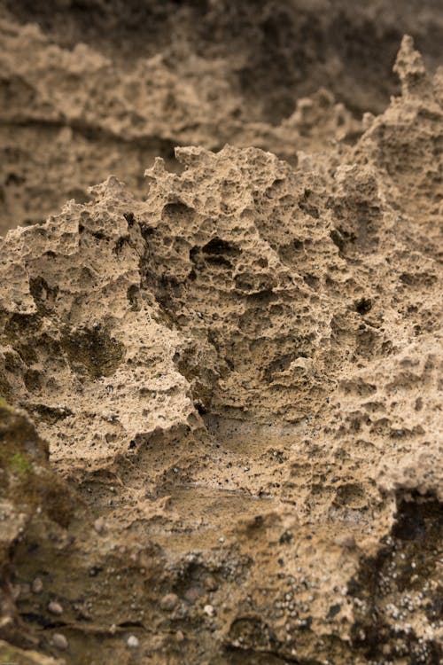 Základová fotografie zdarma na téma detail, hnědý písek, příroda