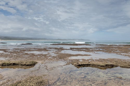 dalgalar, deniz, okyanus içeren Ücretsiz stok fotoğraf