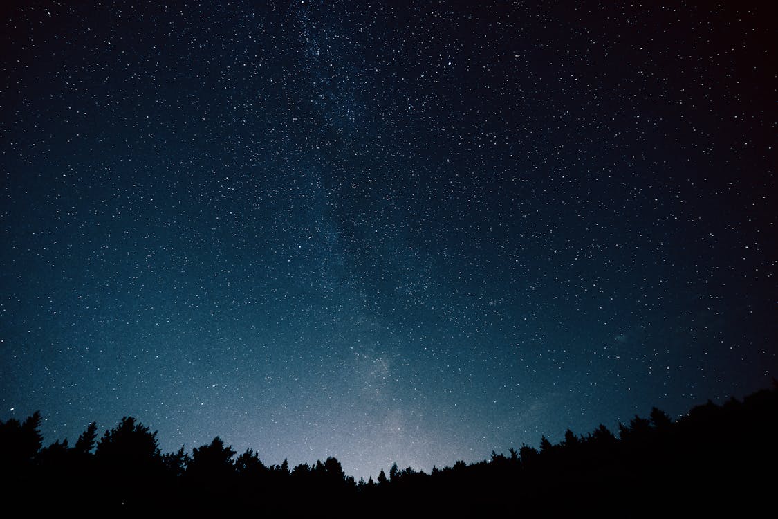 Бесплатное стоковое фото с galaxy, Астрофотография, деревья