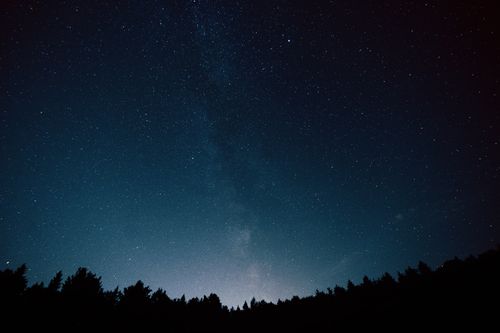 Free A stunning view of a starry sky over a silhouette of trees in Ptich', Belarus. Stock Photo