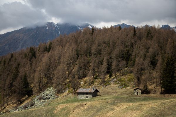 Mountain huts below a treeline — Samuel Hájnik on Pexels