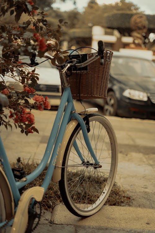 무료 바구니, 수직 쐈어, 오토바이의 무료 스톡 사진