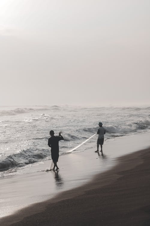 Men Fishing at a Shore with a Fish Net