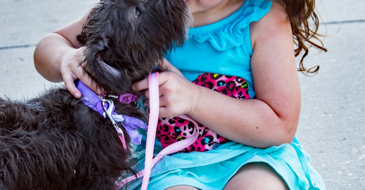 Black Dog Beside Little Girl