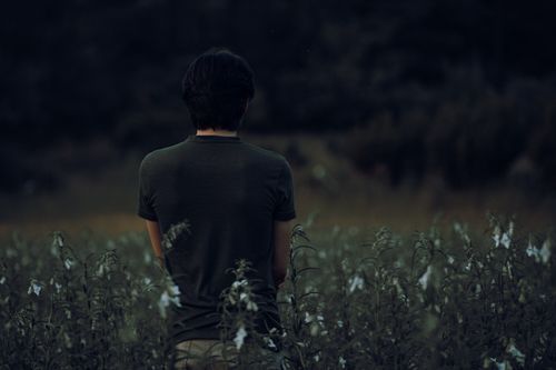 Free A person stands quietly in a serene flower field, surrounded by nature's beauty. Stock Photo