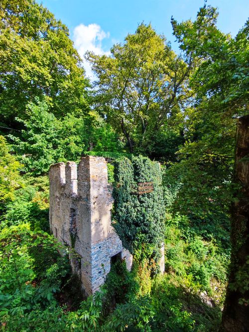 Free stock photo of abandoned building, forest, greece Stock Photo