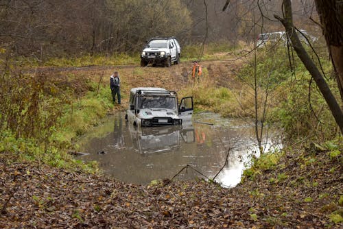 Vehicles Driving in a Puddle