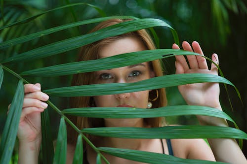 Kostenloses Stock Foto zu asiatisch, augen, blätter