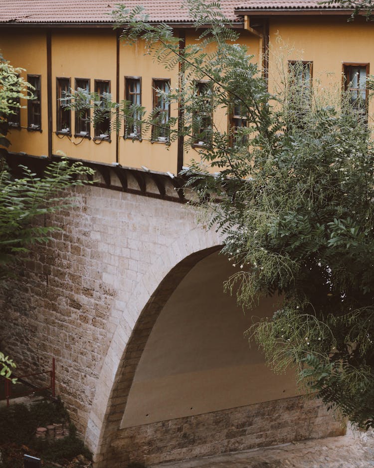 Tree And Building Over Tunnel